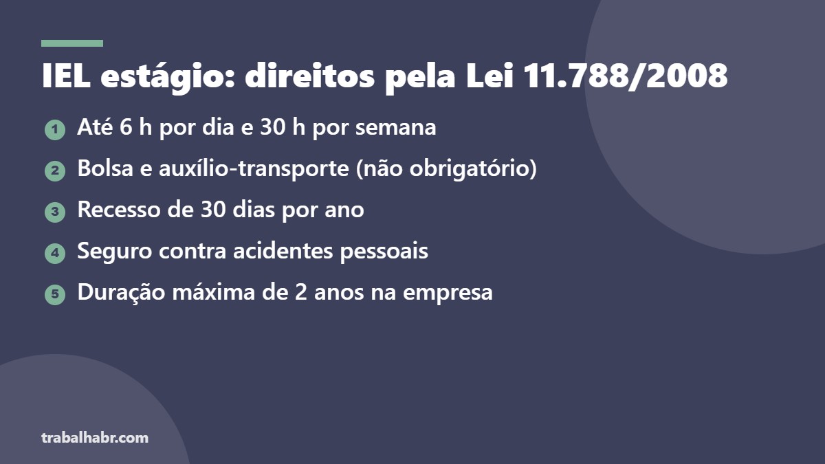IEL estágio: direitos do estagiário pela Lei do Estágio